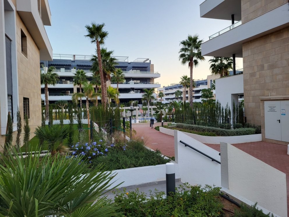 Spánn sumar og haust 2026