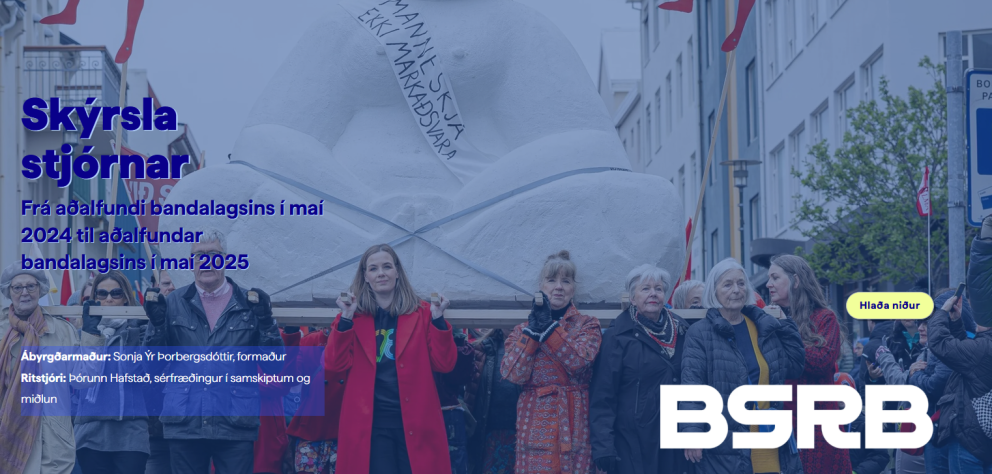Skýrsla stjórnar BSRB