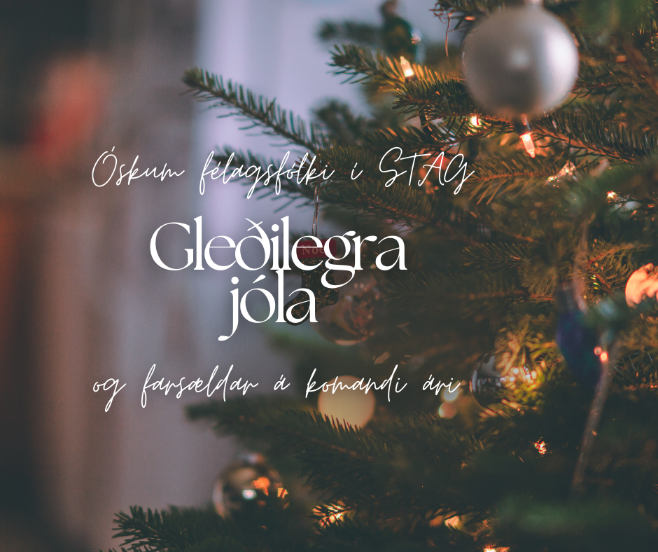 Gleðileg jól!