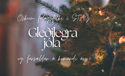 Gleðileg jól!
